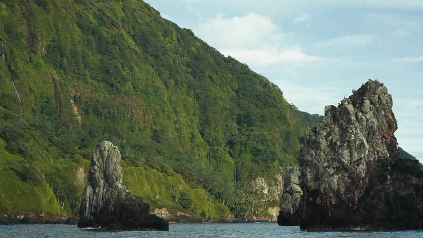 Birds fly over the mountain on the coast