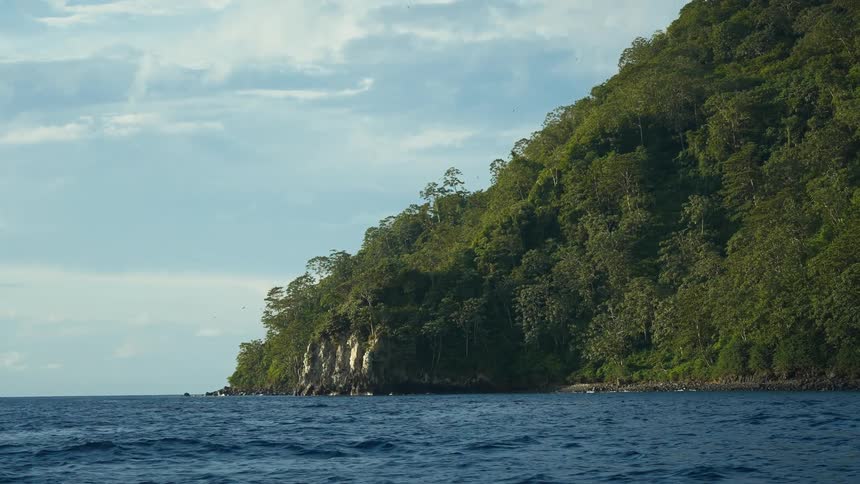 A large bird flies near a coastal area