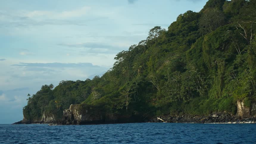 Landscape of rocky and wooded coast by the sea