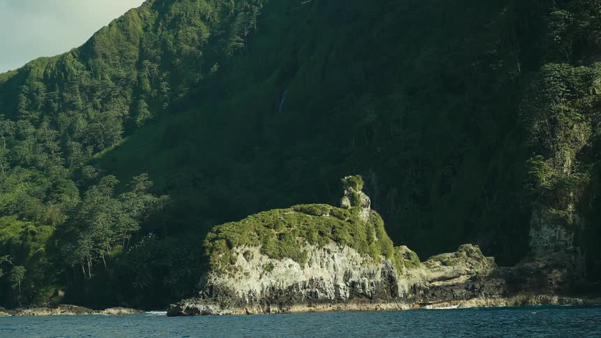 Bird flies over promontory at base of forest covered mountain