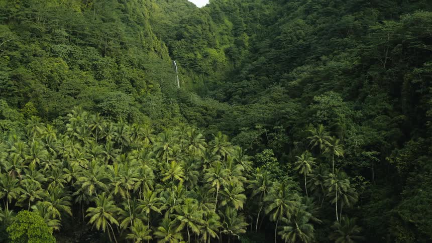 Aerial panorama of a beach with a tropical forest on the edge and a waterfall in the background