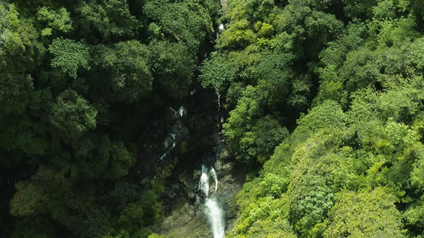 Aerial panorama of a greenish forest and a river