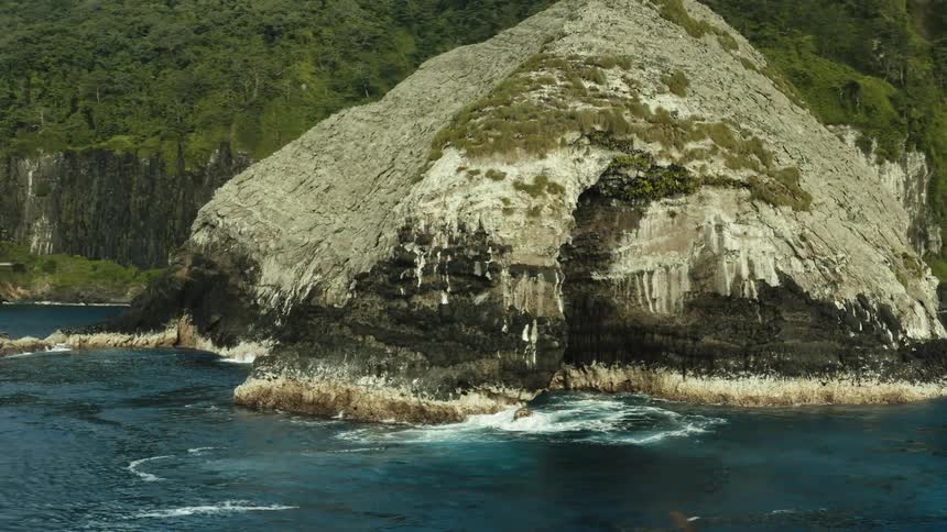 A bird flies by a mountainous coastal area
