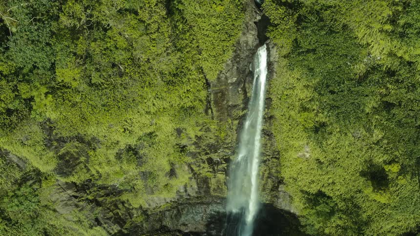 A waterfall coming out of a stone wall in the middle of a forest