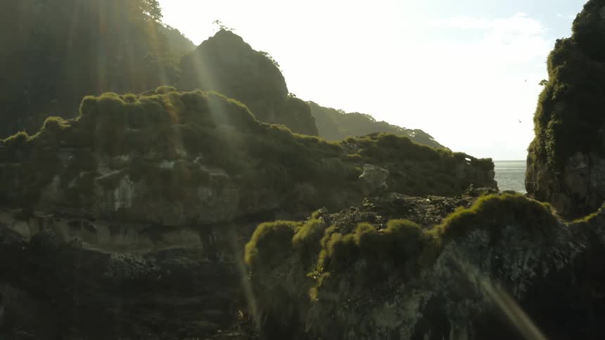 Birds fly over moss covered promontory on a cloudy day