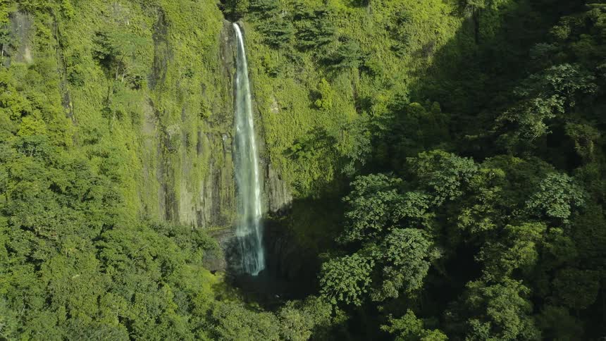 A waterfall coming out of a huge stone wall with lots of mosses and there is a forest in front