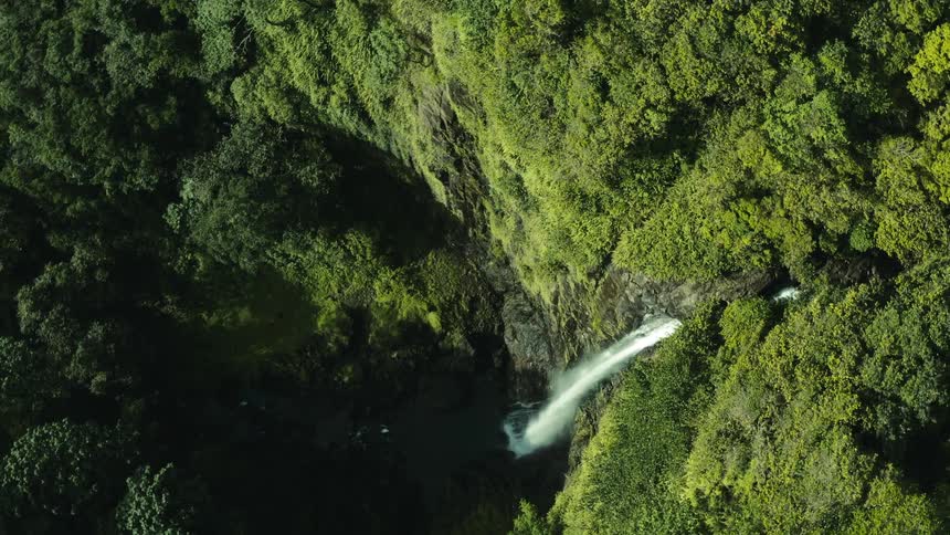 Aerial panorama of a wooded forest with a waterfall
