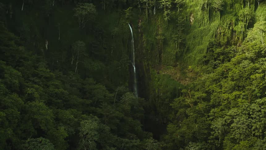 Aerial panorama of a tropical forest with a waterfall