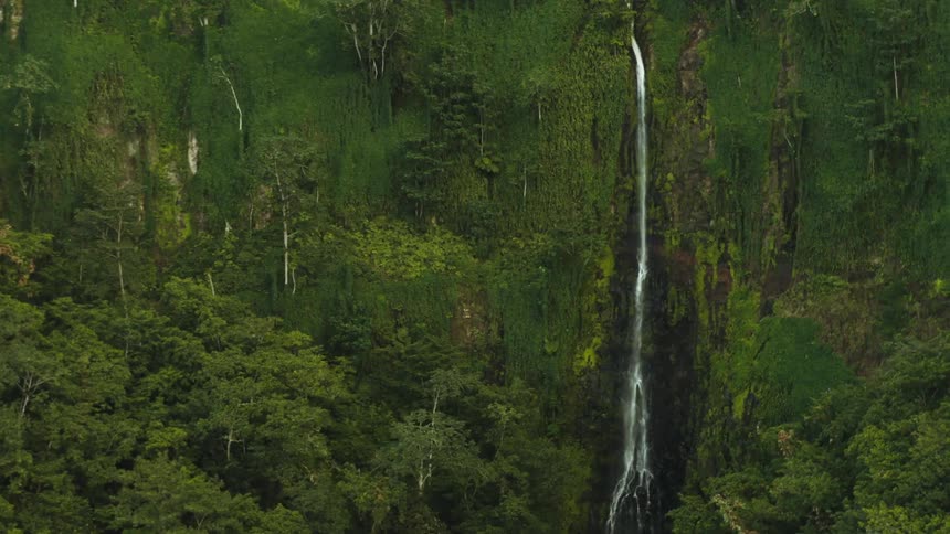 A bird flies near a waterfall on the side of a mountain