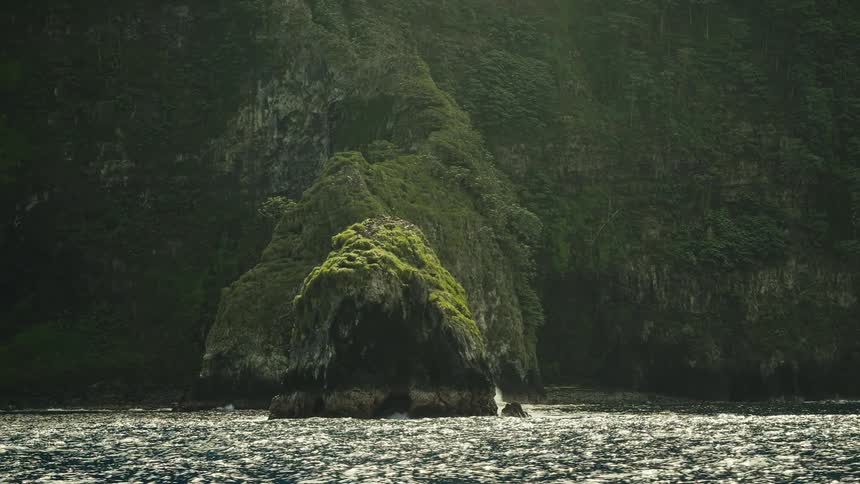 Birds fly over a moss covered mountainous shore