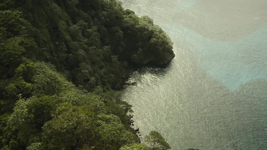 From an aerial view a lush green cliff near a turquoise body of water