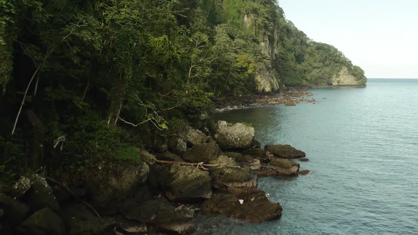 Aerial panorama of the rocky coast with a forest and seaside