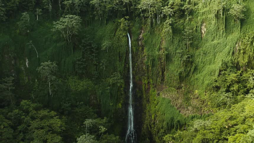 A stone wall full of moss and vegetation with a waterfall in the center and a forest in front