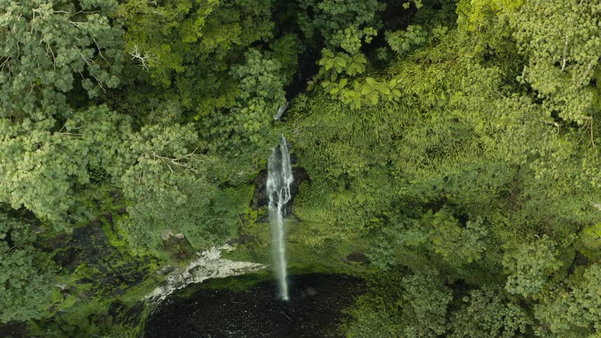 Waterfall surrounded by lush greenery with water cascading into a dark pool