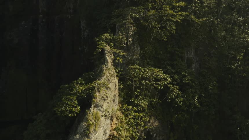 A rock formation on a hill full of trees with green leaves and moss on the stone