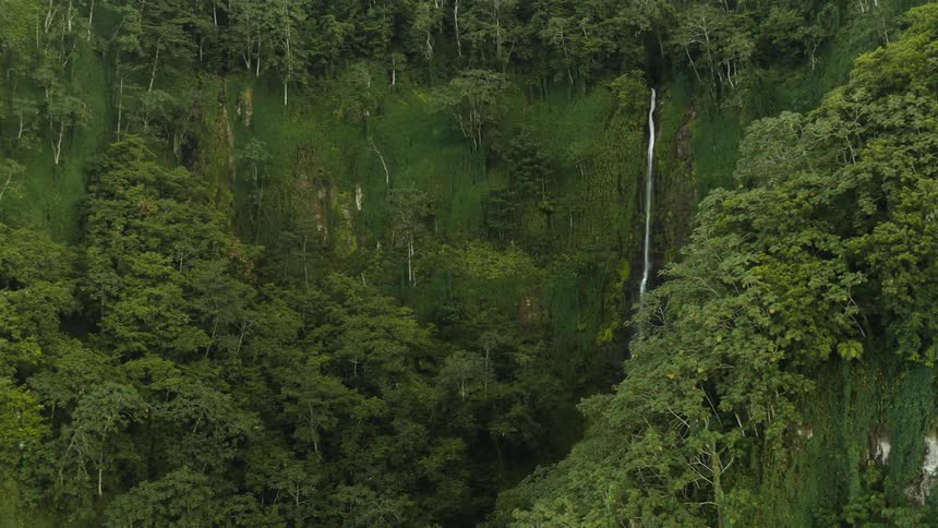 A small waterfall amidst forest hills of very green trees