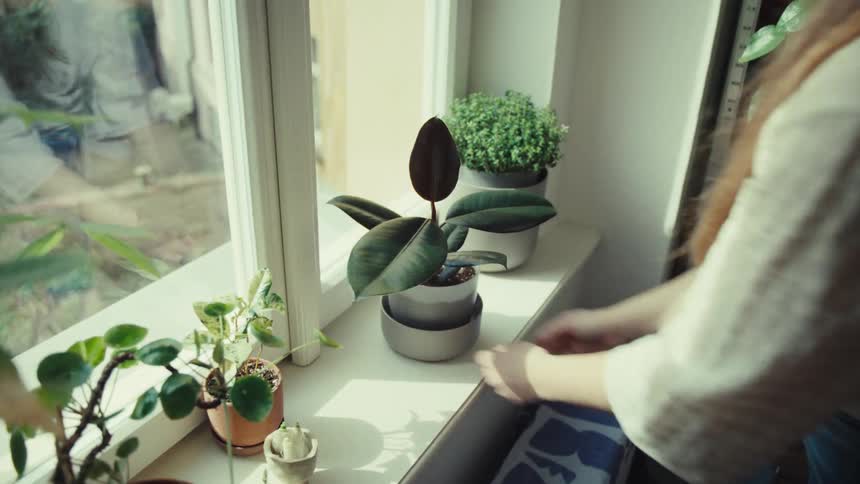Woman placing a potted plant next to a window indoors
