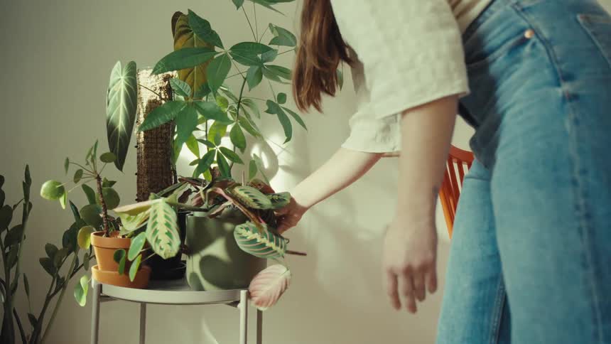 A person placing a plant in a pot on a small white table