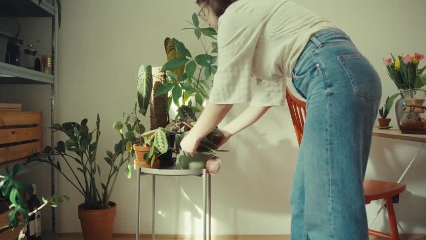 A woman places a potted plant on a small table alongside other plants
