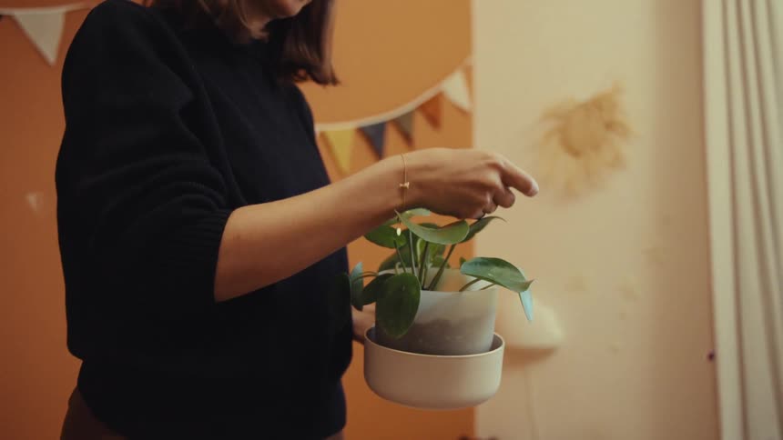 A woman inspects the leaves of a plant for any signs of damage