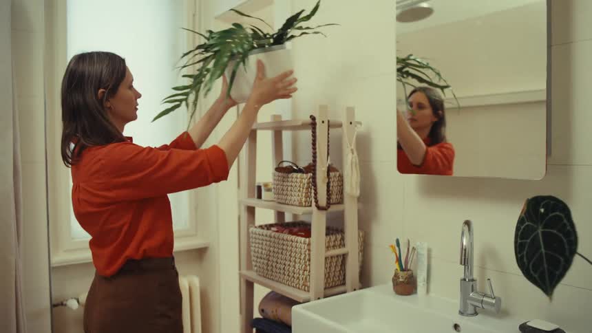 Woman taking a pot with a plant pot and placing it on a shelf