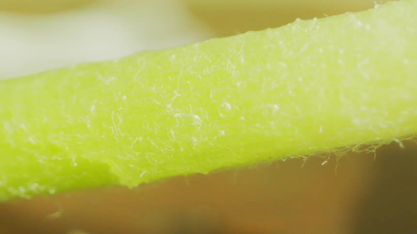 Water pours through sponge then drops into sink