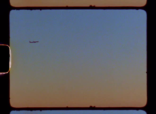 Airplane flying in the late afternoon above a beach with birds in the sand