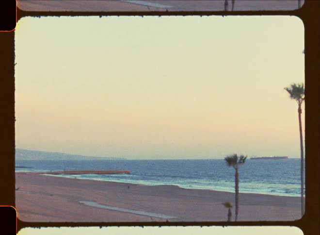 Palm trees on a tropical beach at sunset caught on vintage film
