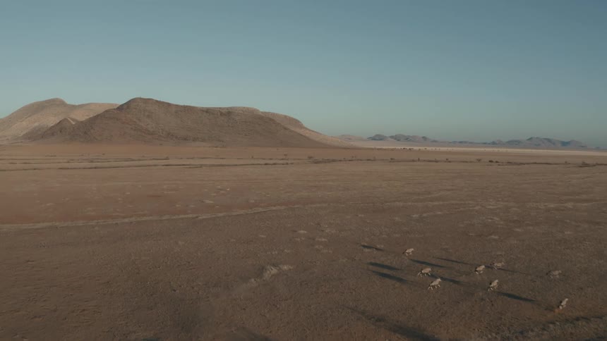 Aerial panorama of a desert land with mountains in the background and wild animals running