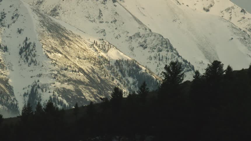 An elk walks across a ridge in front of a mountain