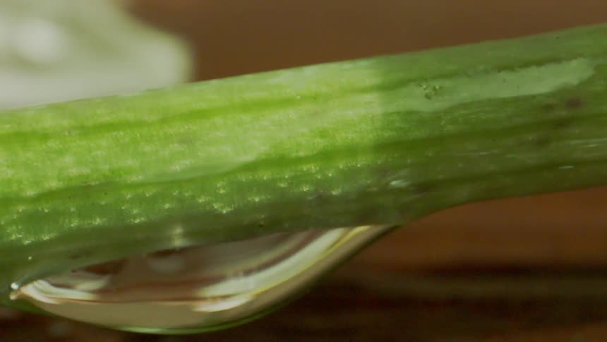 A small green stem of a plant has a tear in it and is partially submerged