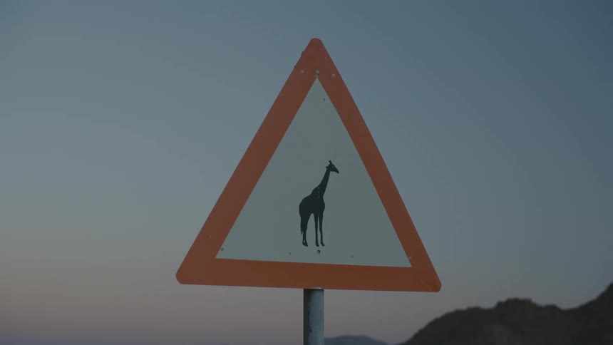 Signpost of a giraffe