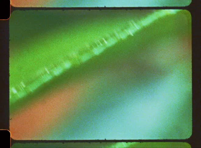 A green leaf of a plant with a wet surface and its shaking
