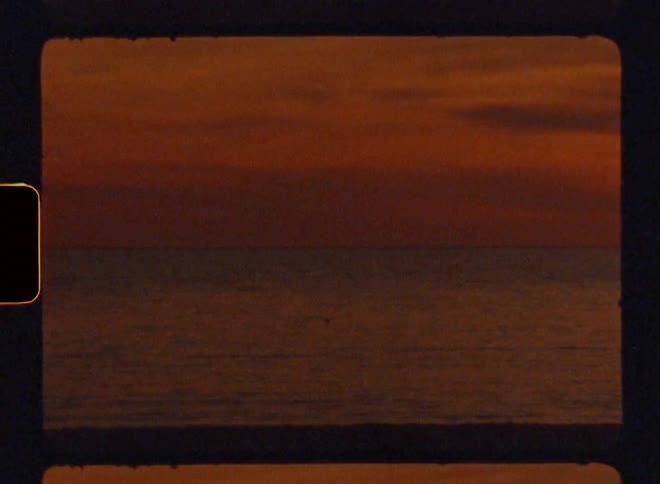 Bird flying towards the sea from the beach in a reddish sky