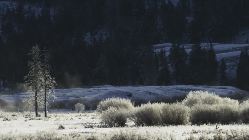 Landscape of snowy and wooded hills and mountains during the day