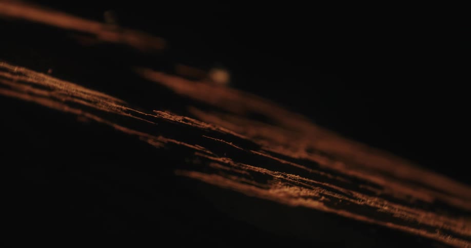 A piece of wood partially obscured in shadows