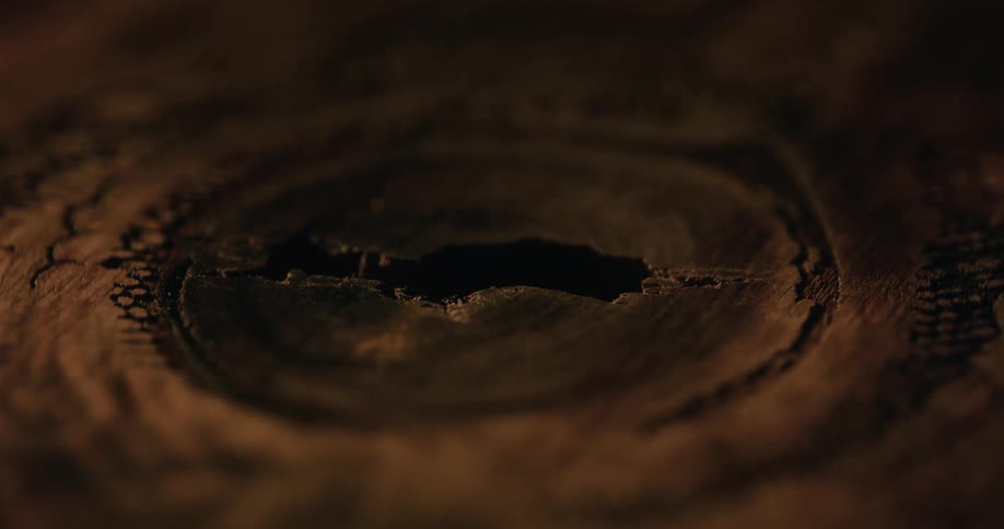 A knot in a piece of wood with an open crack in the middle