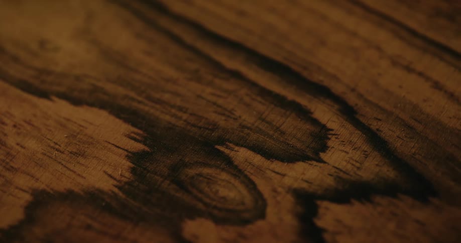 Growth rings form dark patterns on textured wooden surface
