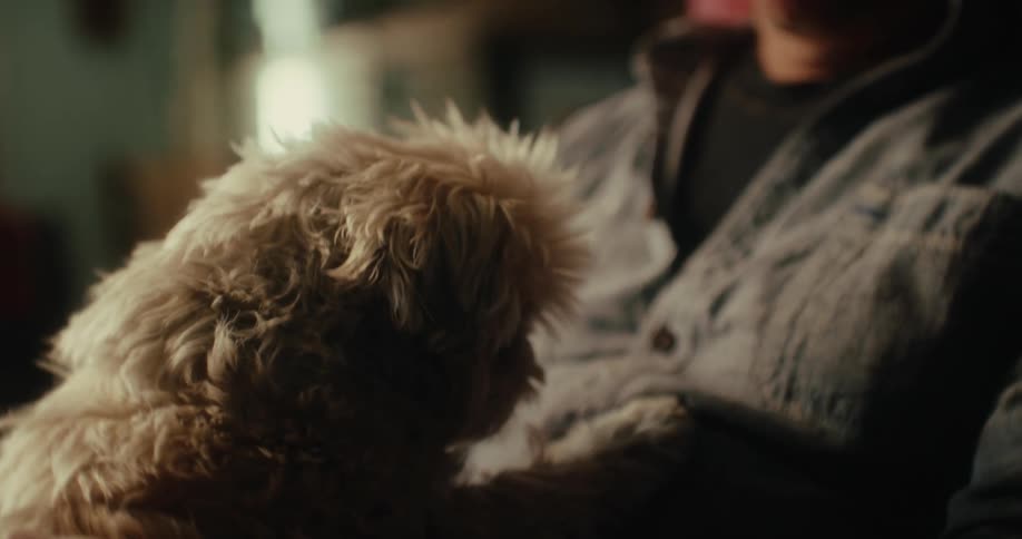 A man petting a small dog on his lap