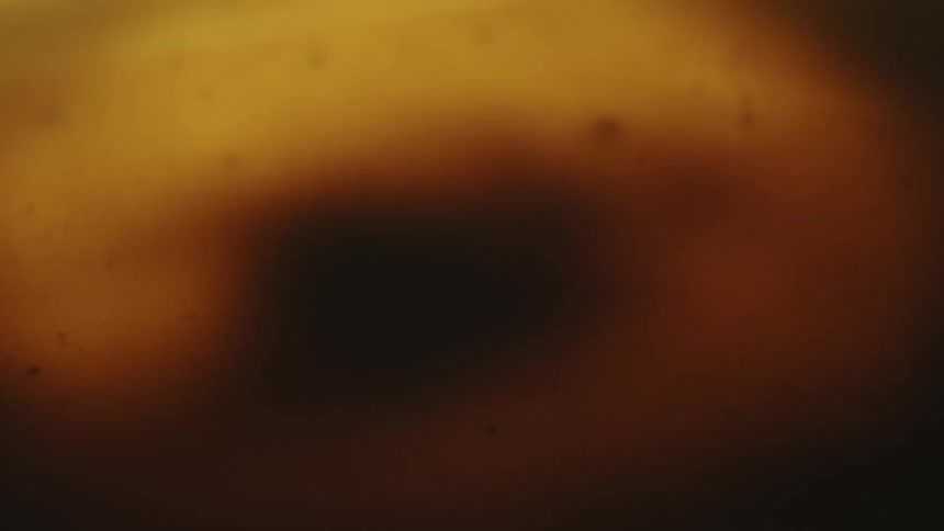Abstract brown liquid orbiting