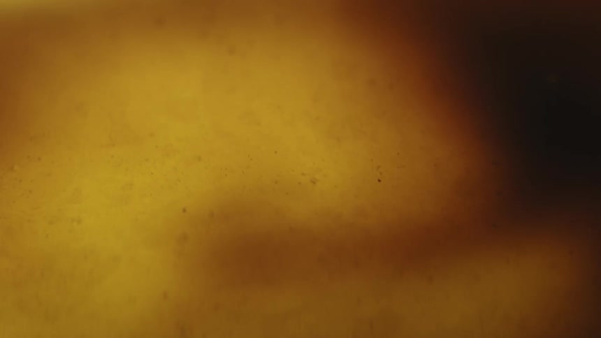 Liquid with dense and golden texture moving abstractly