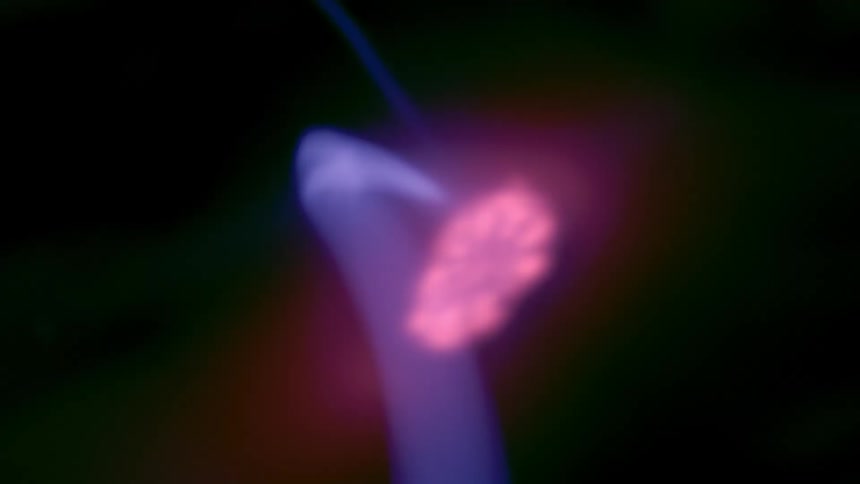Extreme closeup on an abstract purple and violet neon light against a black background