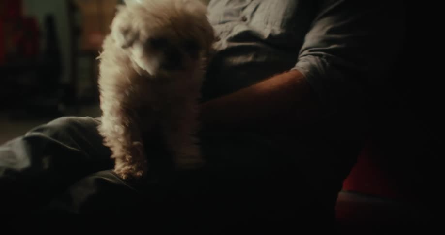 An older man moves a puppy around on his lap