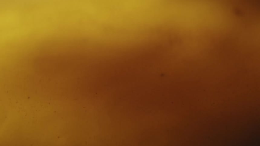 Abstract golden dense liquid in motion