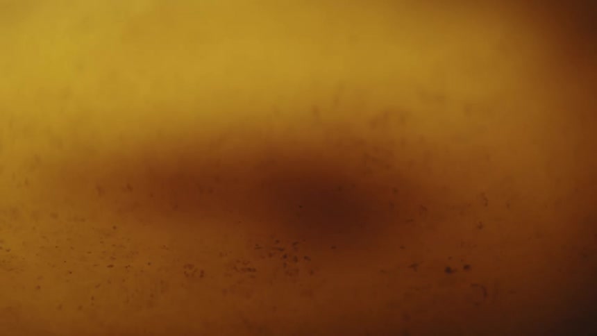 Various liquids and chunks swirl in a circular pattern