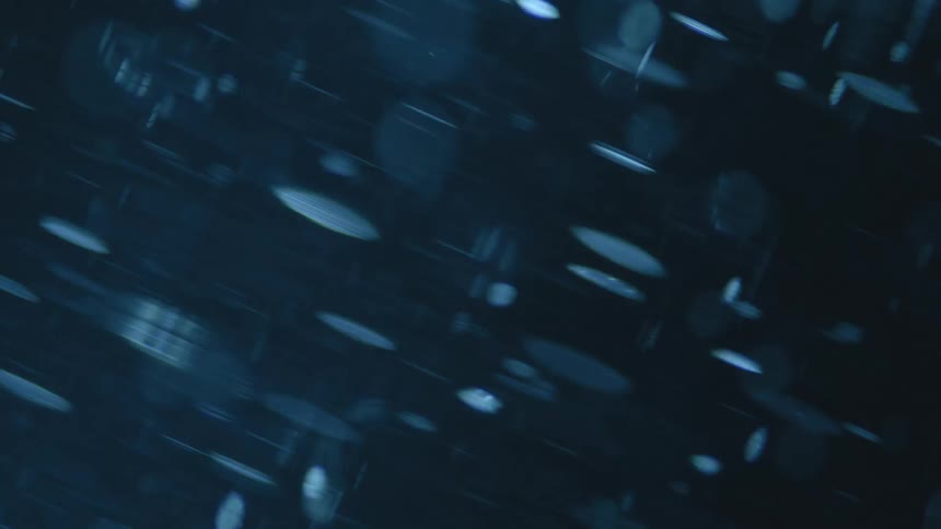 Snow flakes blowing in the wind