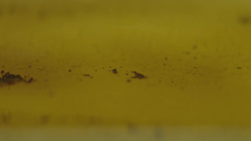 Extreme closeup of a yellowish liquid with a brown powder moving in an abstract wavy fashion with a rotating piece of wood