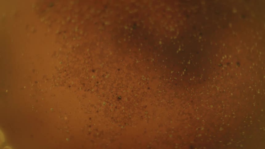 Dense golden liquid swirling with an abstract powder