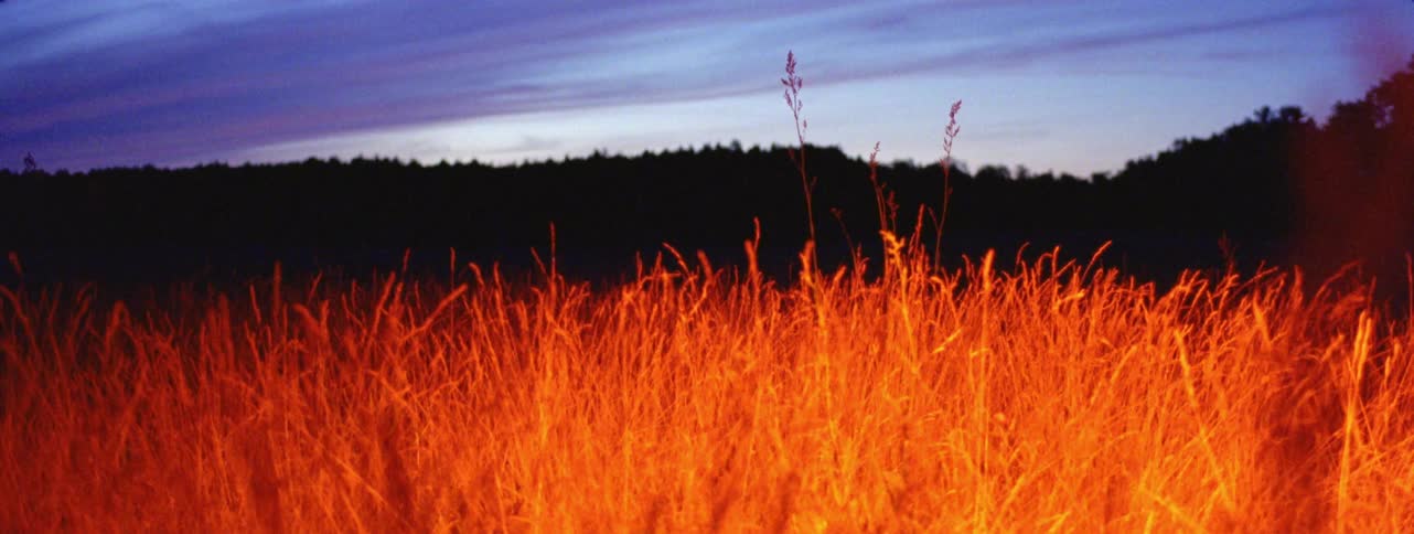 An orange light passing over a grass field at night