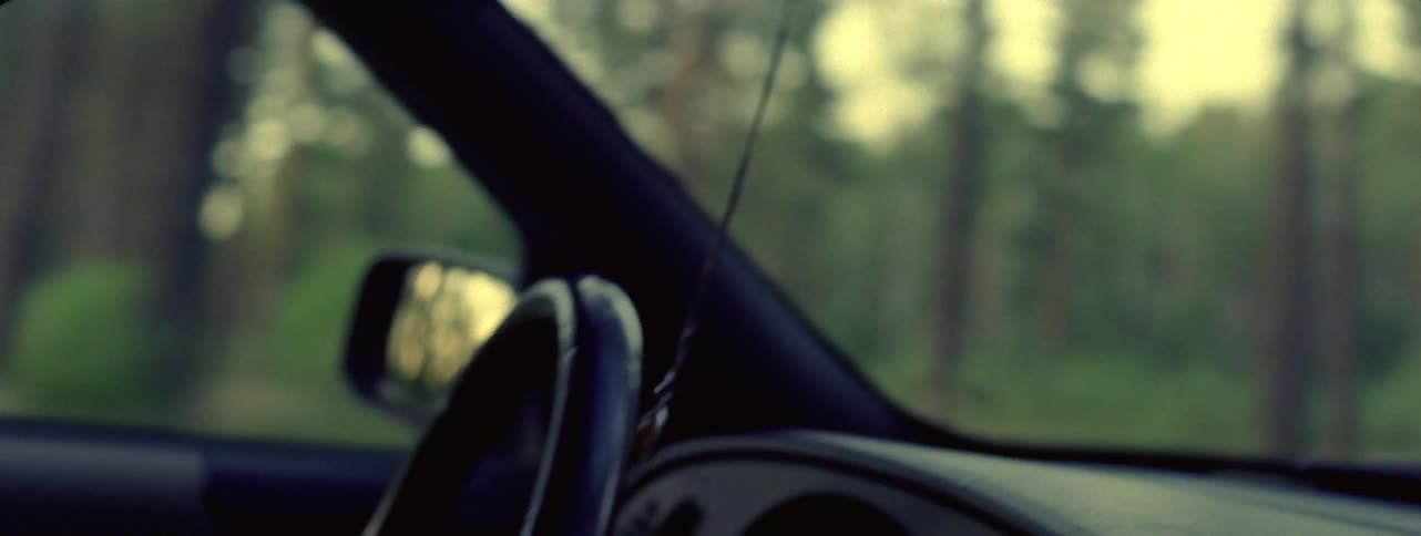 Driver steers vehicle past the woods